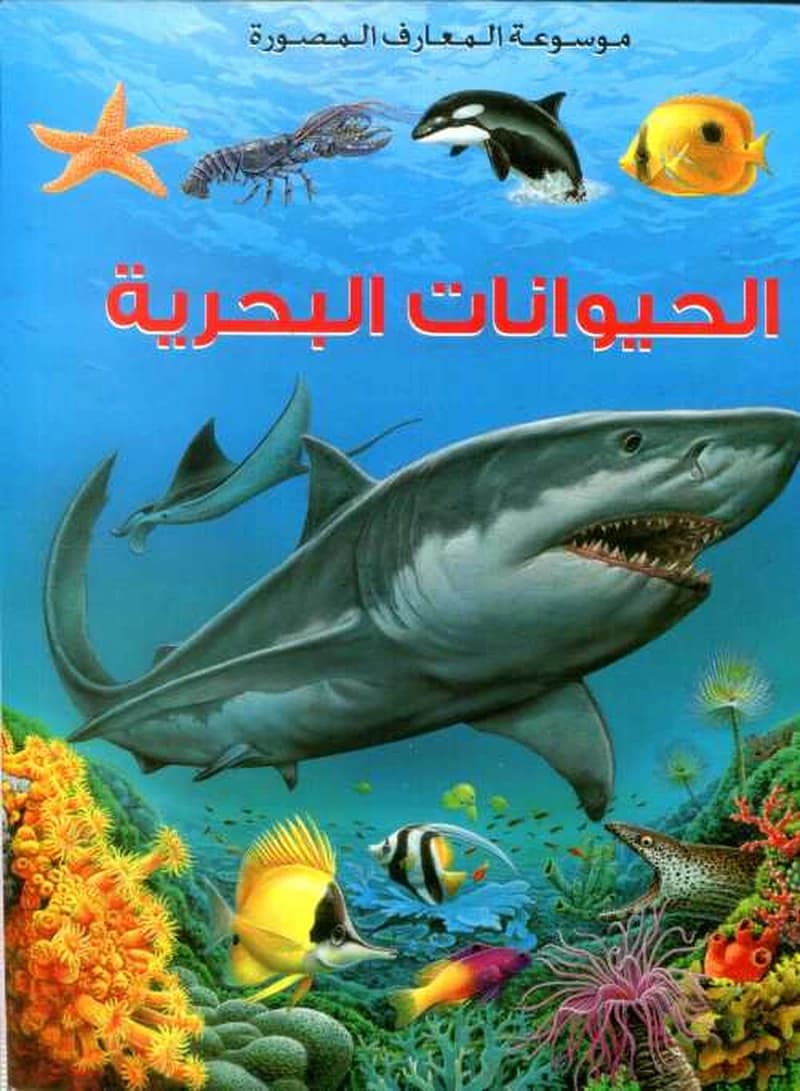 الحيوانات البحرية