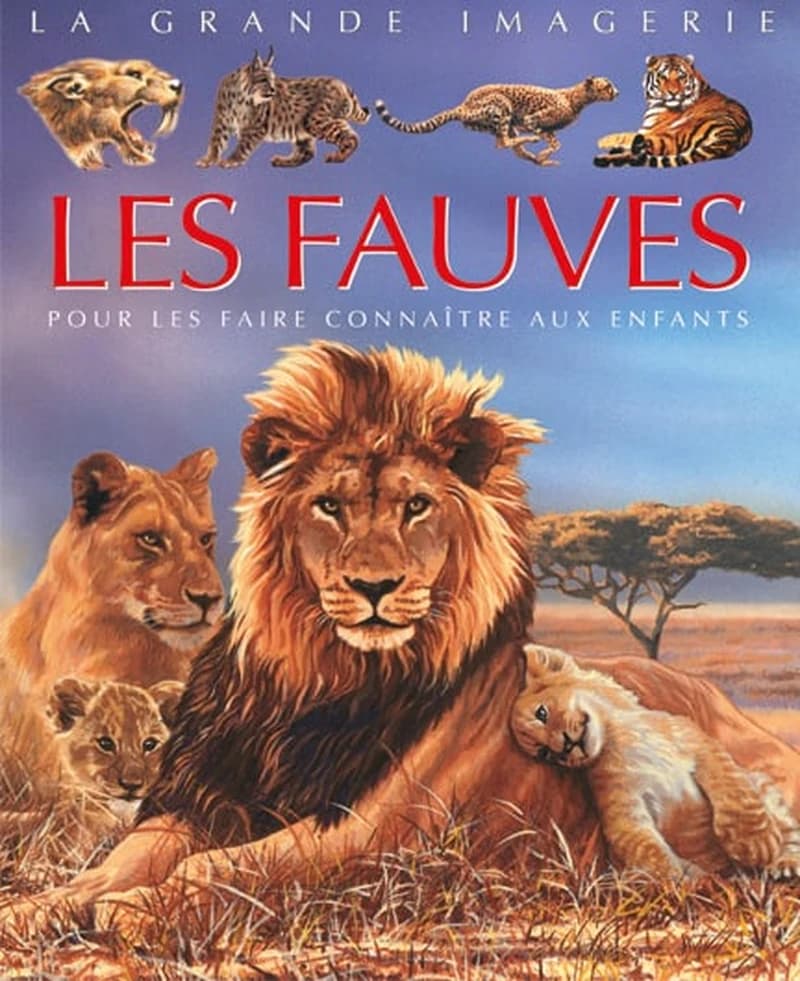 La grande imagerie : Les Fauves