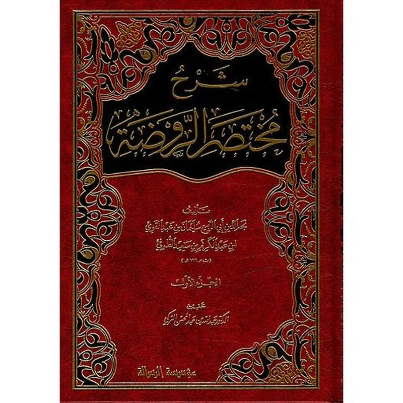 شرح مختصر الروضة 1