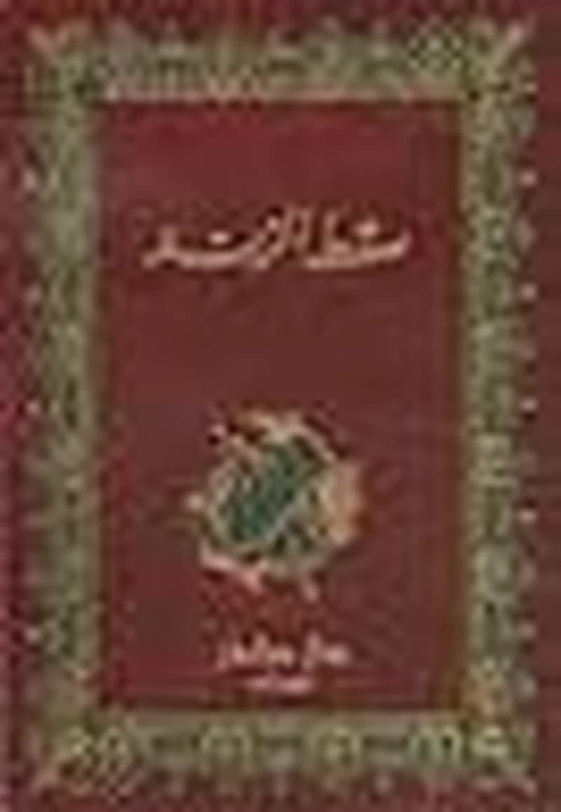 سقط الزند