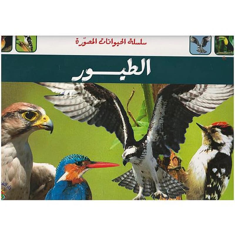 سلسلة الحيوانات المصورة - الطيور