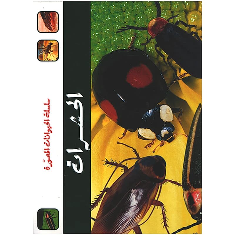 سلسلة الحيوانات المصورة - الحشرات