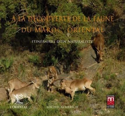 À la découverte de la faune du Maroc oriental : itinéraires d'un naturaliste