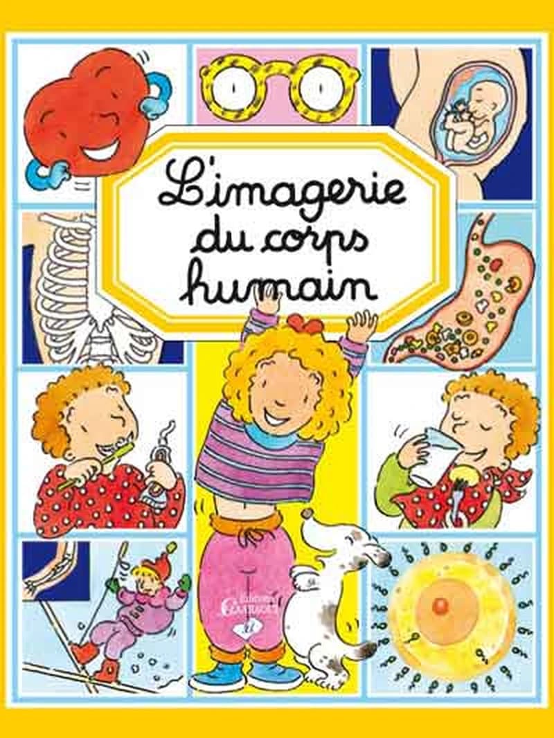 L'IMAGERIE DU CORPS HUMAIN