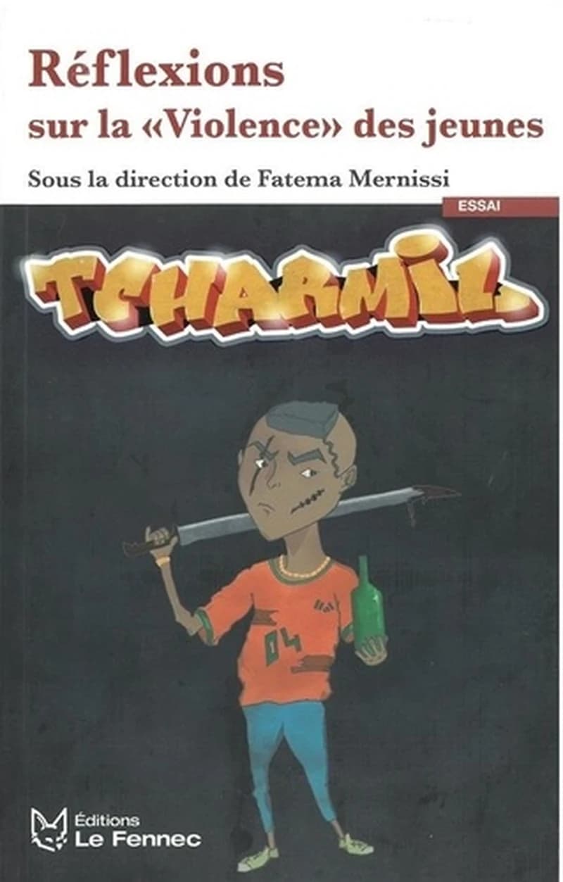 Reflexions sur la "violence" des jeunes