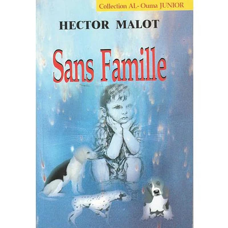 Sans Famille