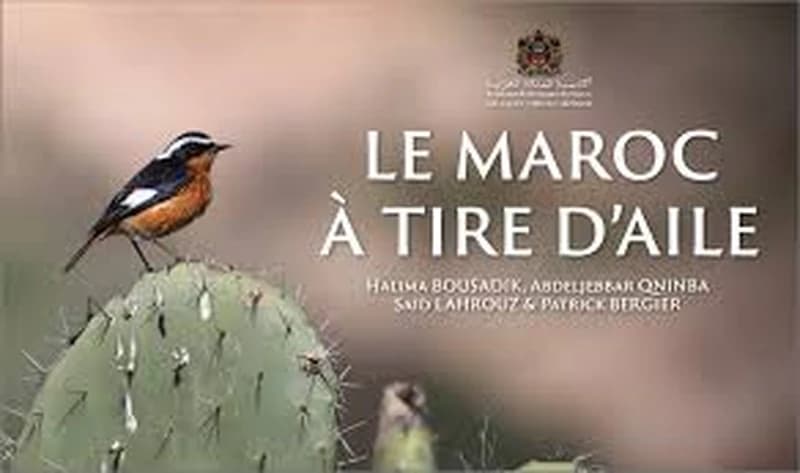 Le Maroc à tire d'alie