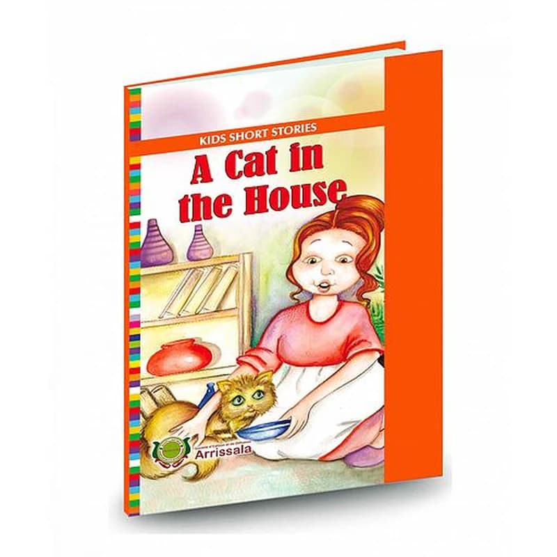 a cat in the house