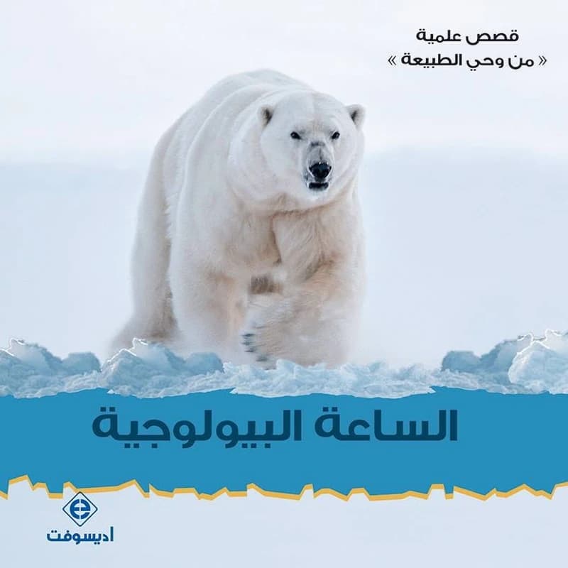 الساعة البيولوجية