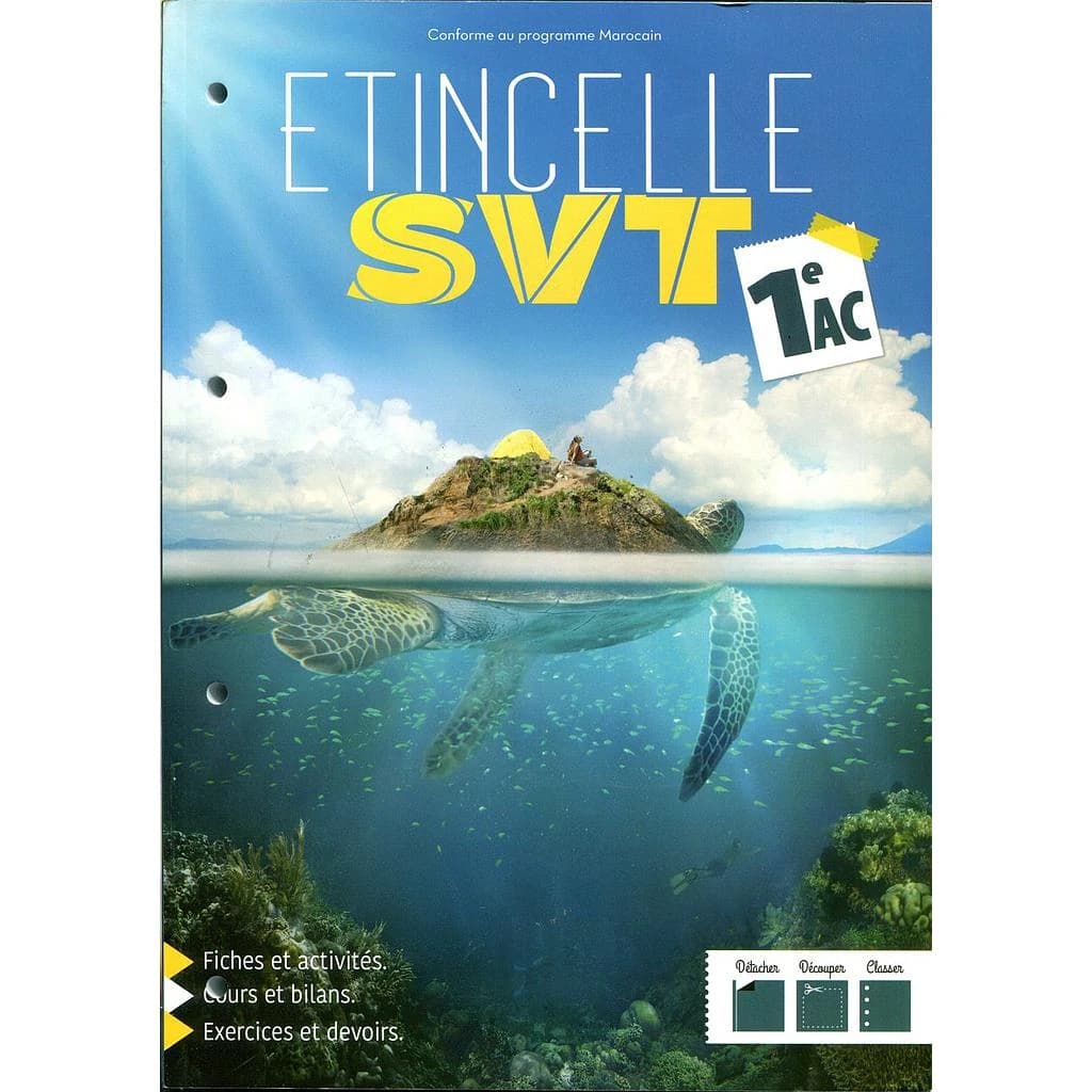 ETINCELLE SVT 1E AC