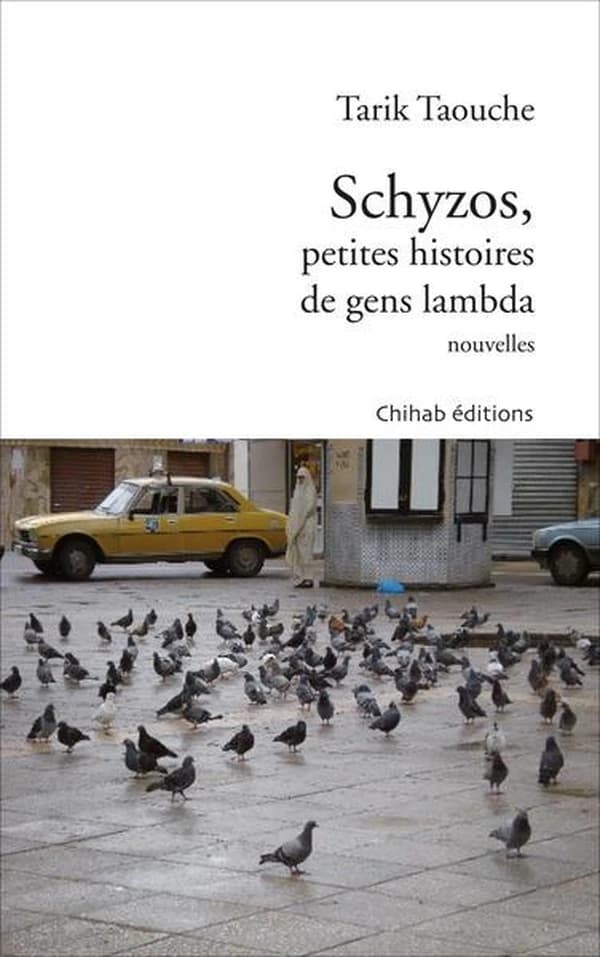 Schyzos ; petites histoires de gens lambda