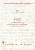 Italienische barockmusik fur mandoline