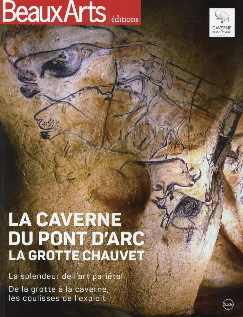 La caverne du Pont d'Arc : la grotte Chauvet : la splendeur de l'art pariétal : de la grotte à la caverne, les coulisses de l'exploit : Caverne du Pont d'Arc, Ardèche