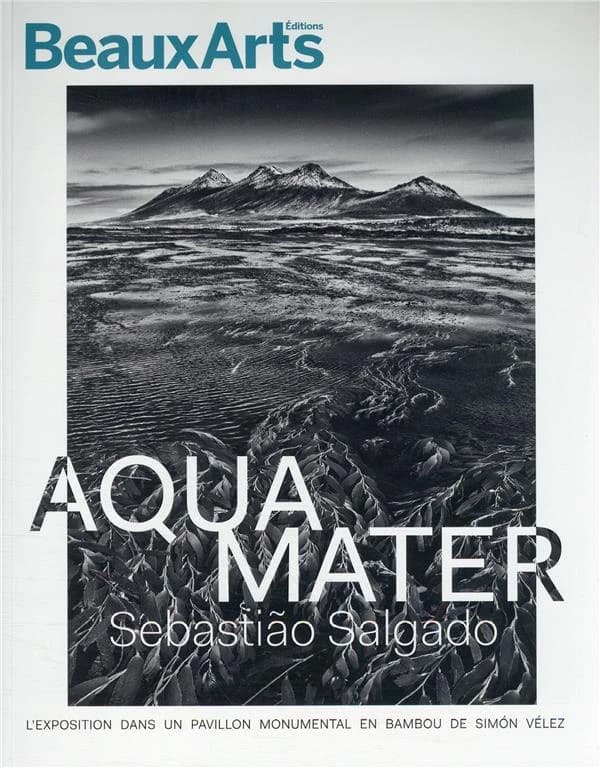 Aqua mater, Sebastião Salgado : l'exposition dans un pavillon monumental en bambou de Simón Vélez