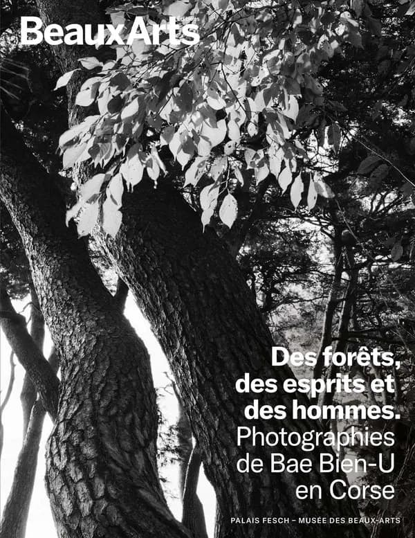 Des forêts, des esprits et des hommes : photographies de Bae Bien-U en Corse : Palais Fesch-musée des beaux-arts