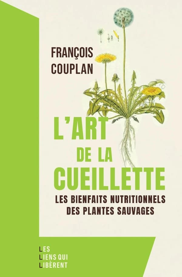 L'art de la cueillette : Les bienfaits naturels des plantes sauvages