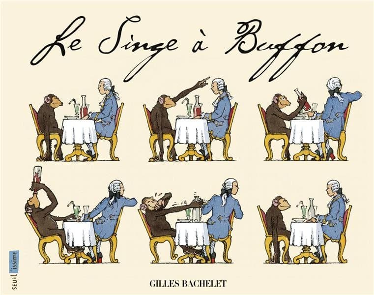 Le singe à Buffon