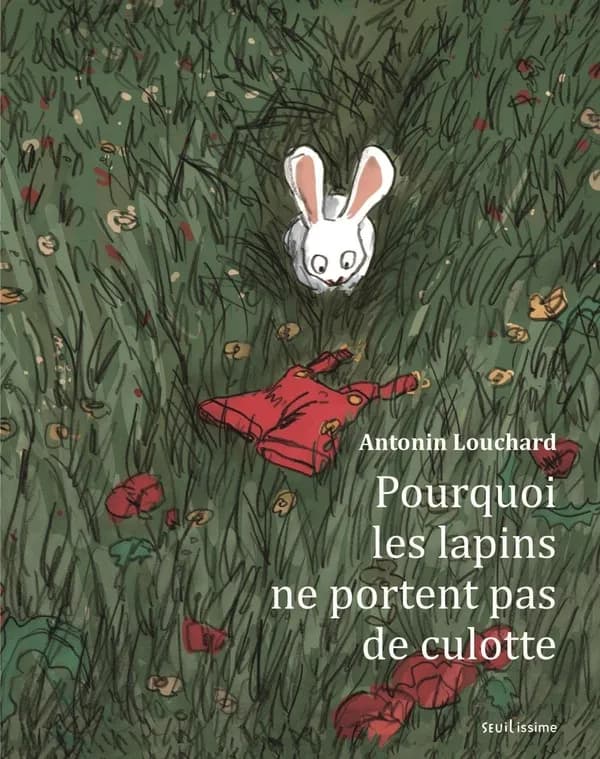 Pourquoi les lapins ne portent pas de culotte ?