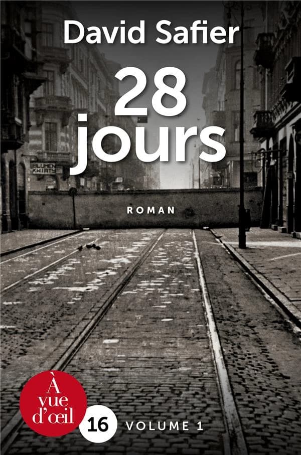 28 jours ([Éd. en gros caractères]) David Safier ; traduit de l'allemand par Catherine Barret