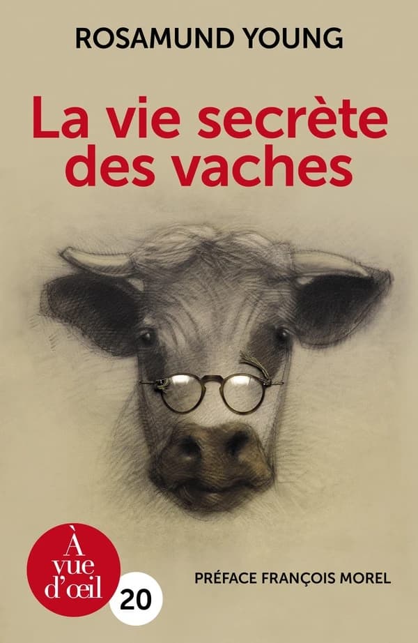 La vie secrète des vaches ([Éd. en gros caractères]) Rosamund Young ; traduit de l'anglais (Royaume-Uni) par Sabine Porte ; préface de François Morel