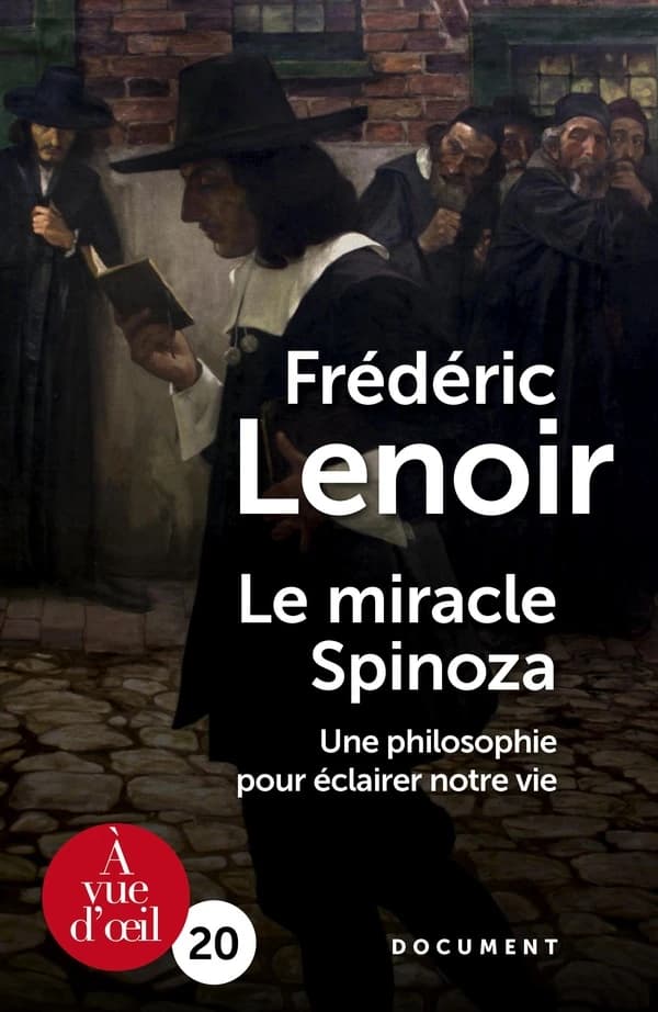 Le miracle Spinoza : une philosophie pour éclairer notre vie ([Éd. en gros caractères]) Frédéric Lenoir ; [postface, échange avec Robert Misrahi]