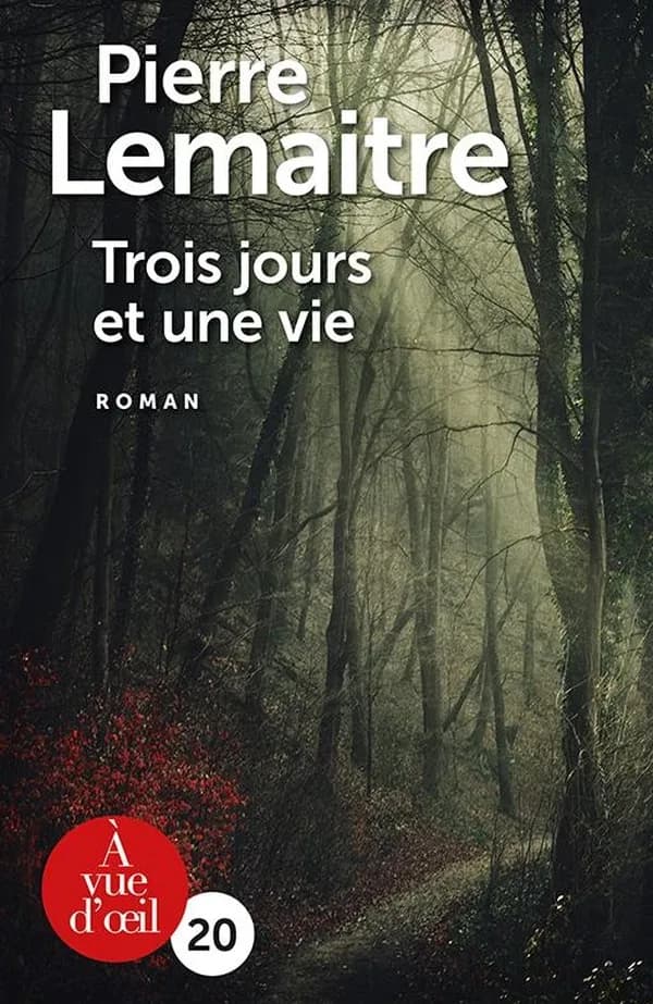 Trois jours et une vie ([Éd. en gros caractères]) Pierre Lemaitre