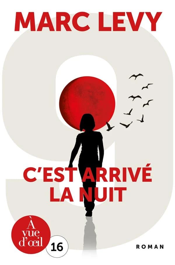C'est arrivé la nuit ([Éd. en gros caractères]) Marc Levy