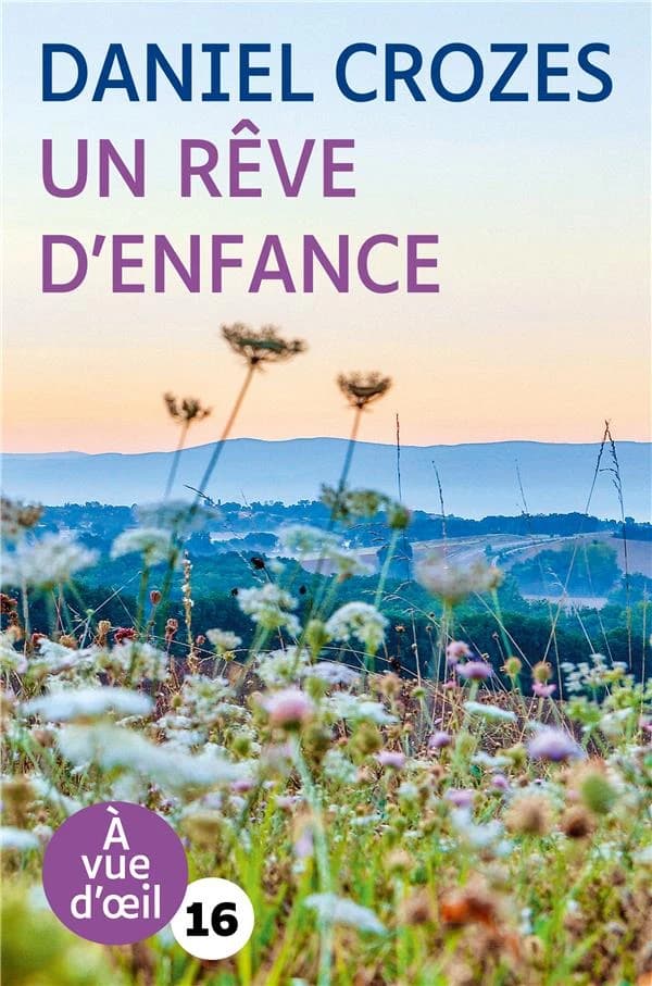 Un rêve d'enfance : roman (Éd. en grands caractères) Daniel Crozes