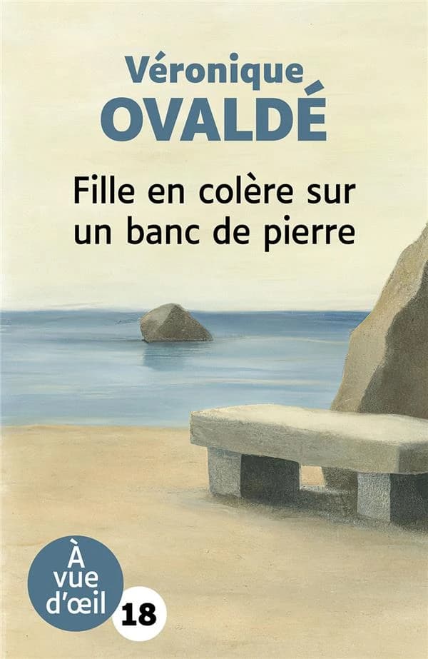 Fille en colère sur un banc de pierre : roman (Éd. en grands caractères) Véronique Ovaldé