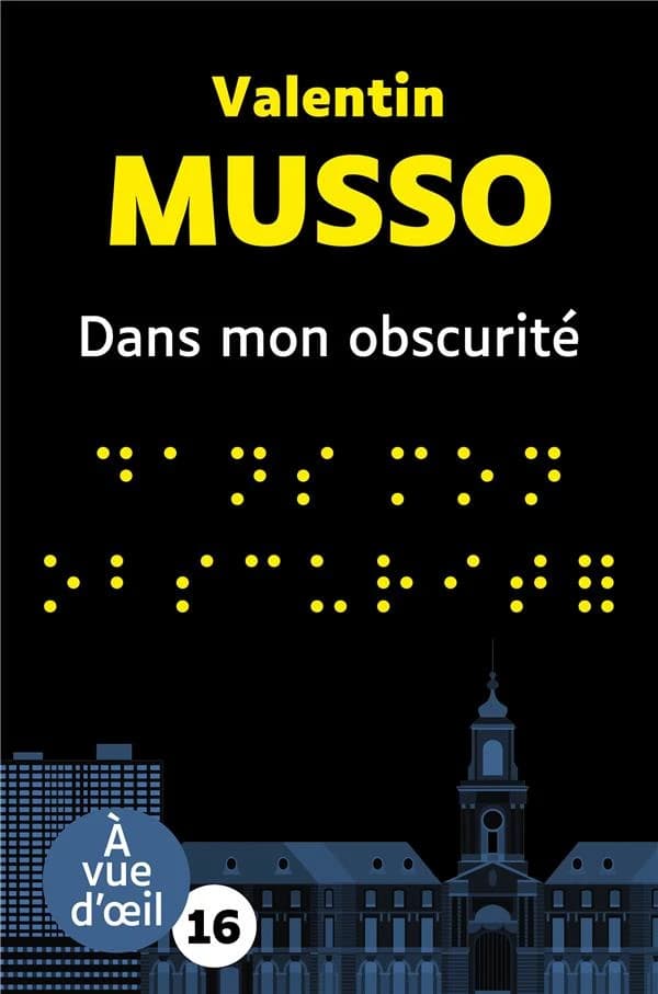 Dans mon obscurité : roman ([Éd. en gros caractères])