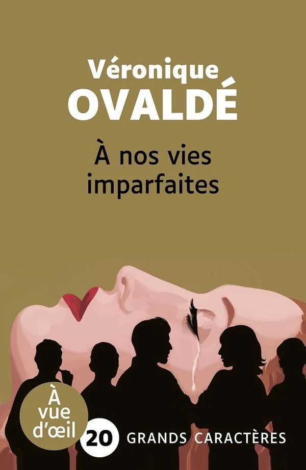 À nos vies imparfaites : nouvelles (Éd. en grands caractères) Véronique Ovaldé