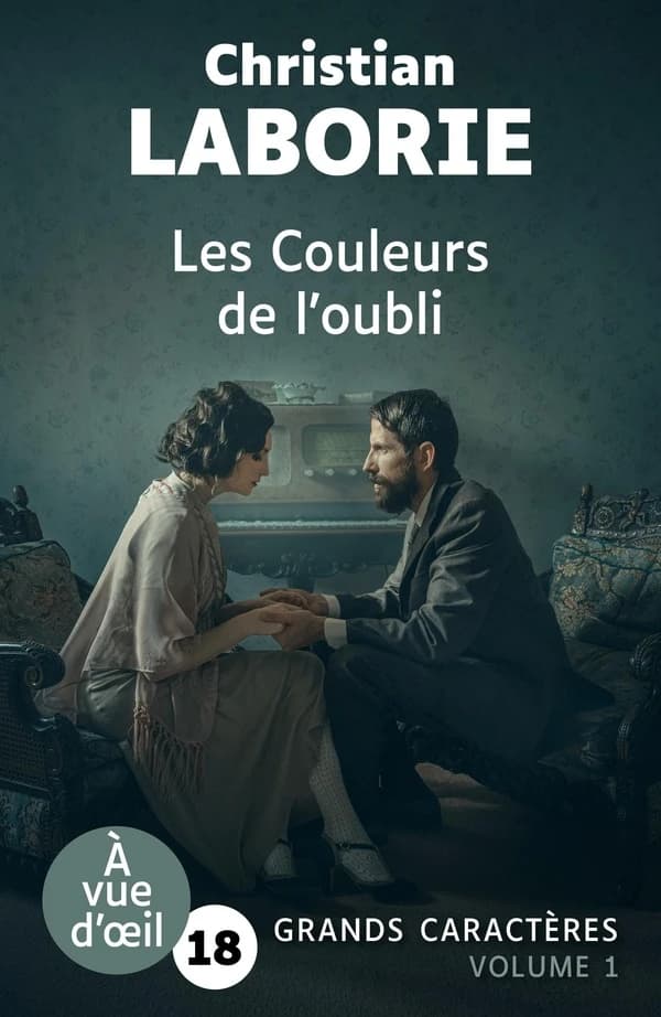 Les couleurs de l'oubli : roman (Éd. en grands caractères) Christian Laborie