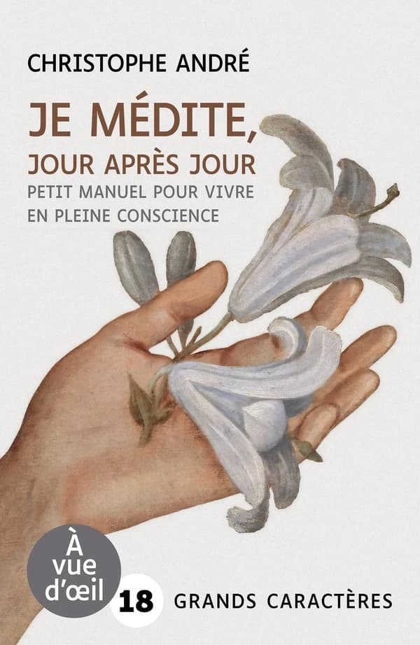 Je médite, jour après jour : petit manuel pour vivre en pleine conscience (Éd. en grands caractères) Christophe André