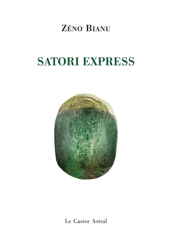 Satori express