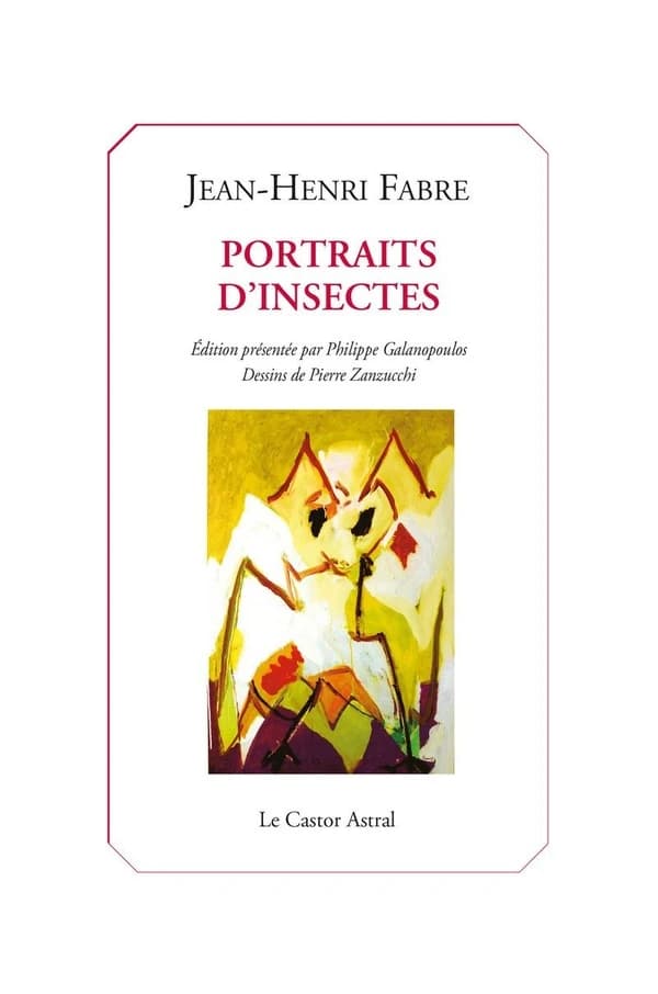 Portraits d'insectes