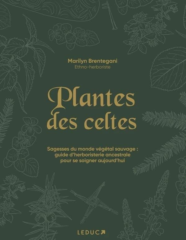 Plantes des Celtes : sagesses du monde végétal sauvage : guide d'herboristerie ancestrale pour se soigner aujourd'hui