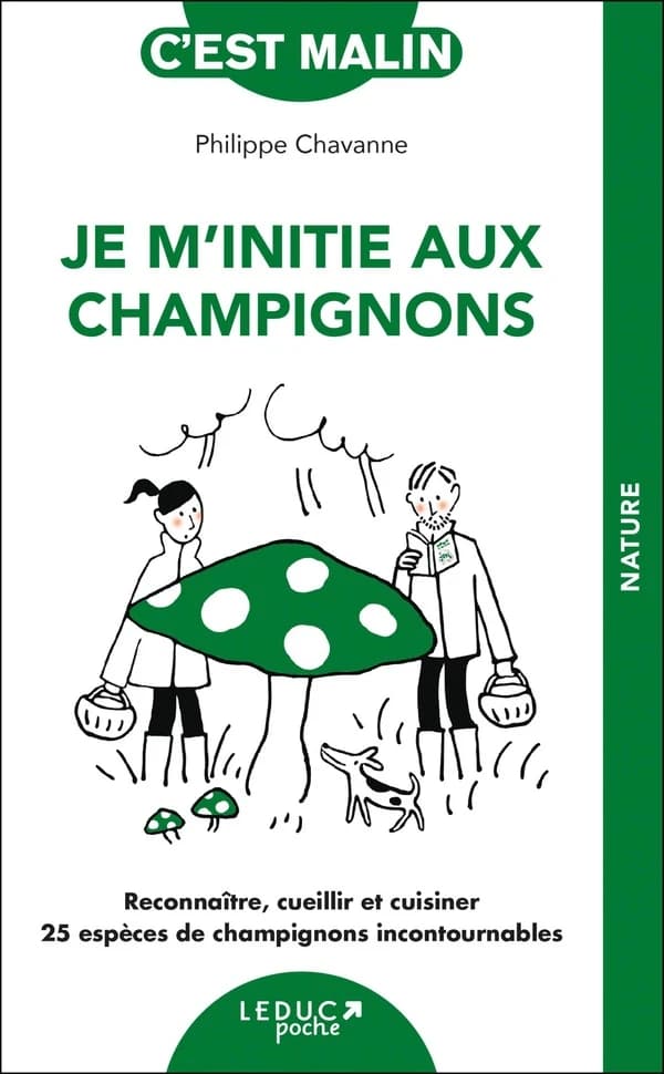 Je m'initie aux champignons