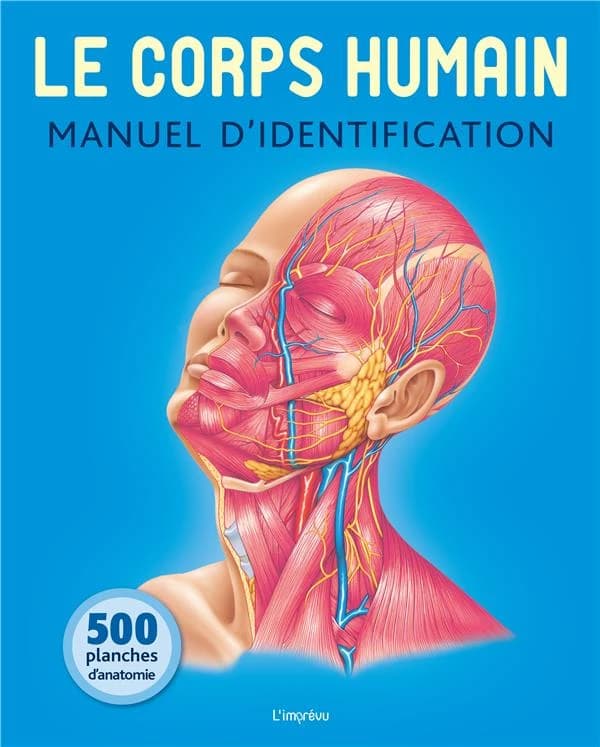 Le corps humain ; manuel d'identification ; 500 planches d'anatomie