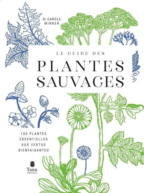 Le guide des plantes sauvages : 100 plantes essentielles aux vertus bienfaisantes