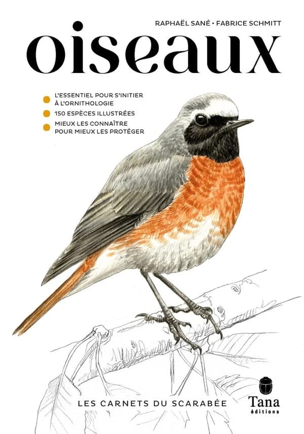 Oiseaux