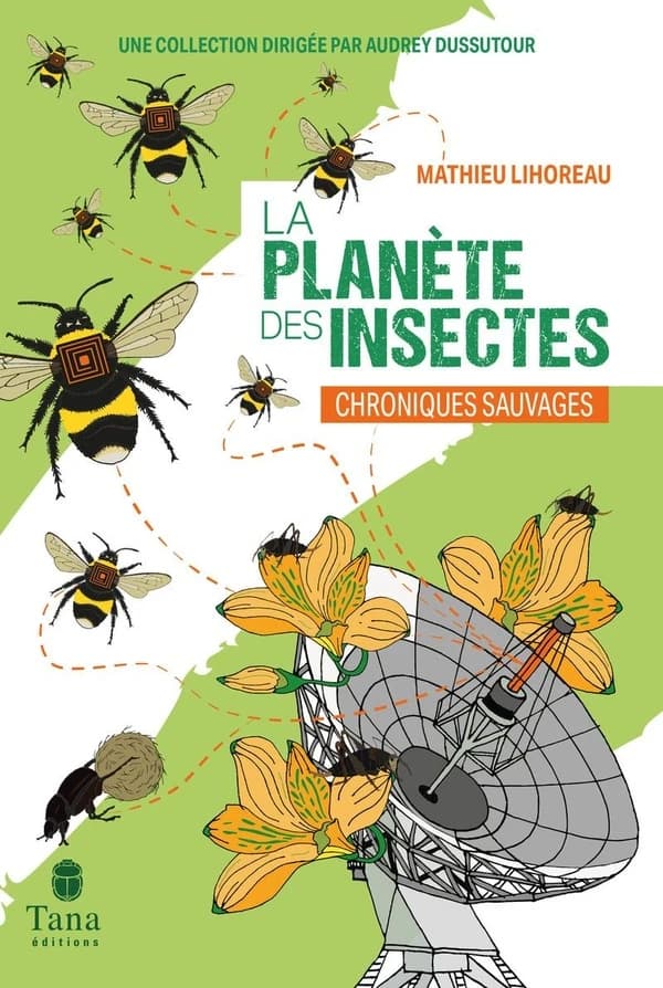 La planète des insectes : chroniques sauvages