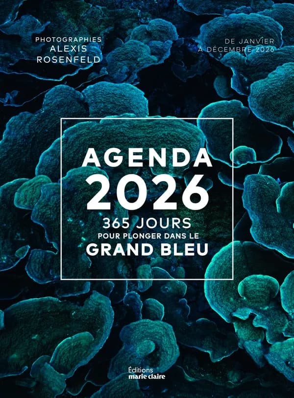 L'agenda : 365 jours pour plonger dans le grand bleu (édition 2026)