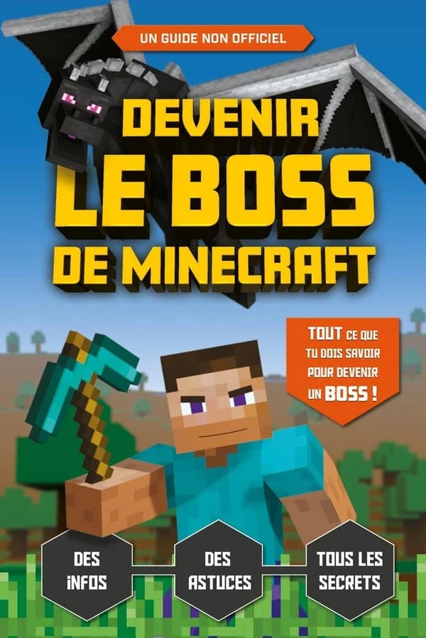 Devenir le boss de Minecraft : un guide indépendant et non-officiel