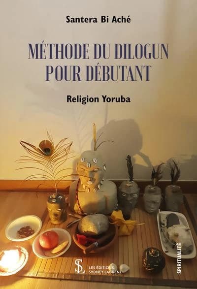 Methode du dilogun pour debutant