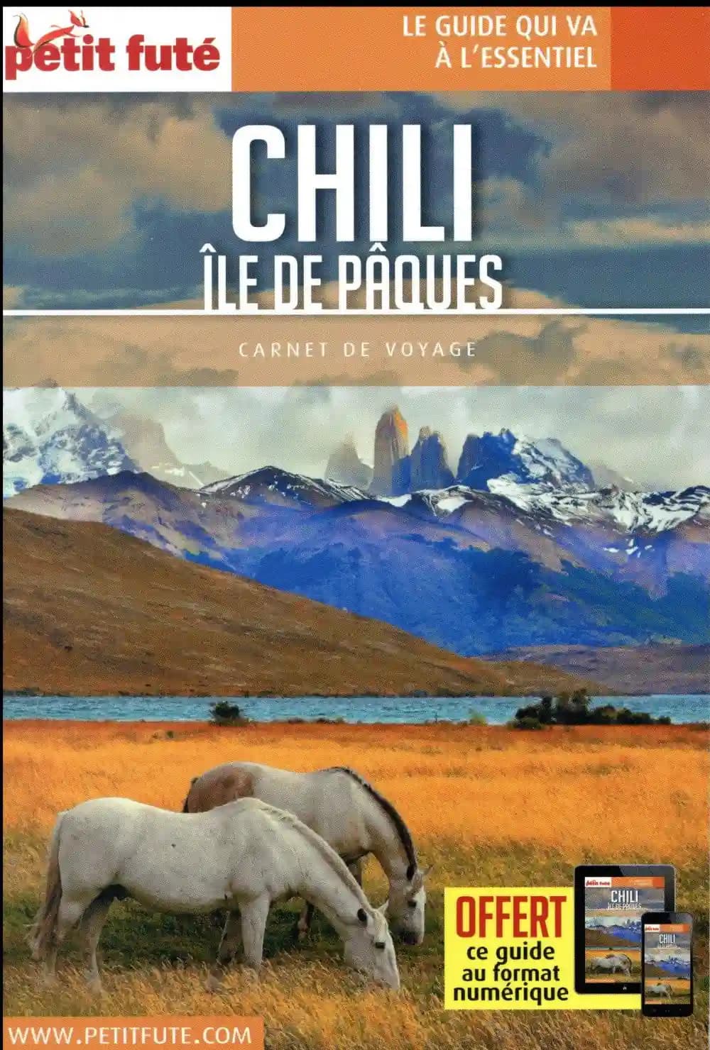 Carnet de voyage : Chili ; île de Pâques (édition 2018)