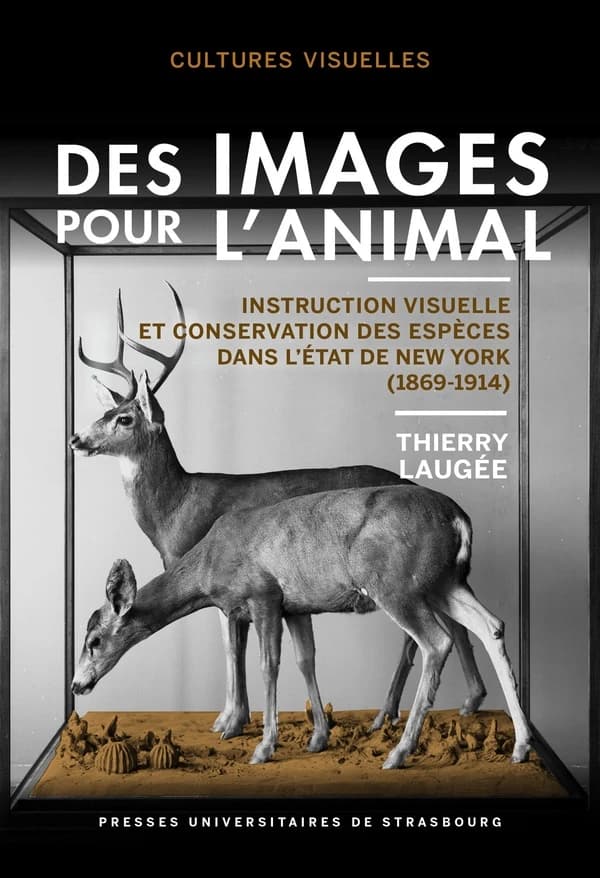 Des images pour l'animal : instruction visuelle et conservation des espèces dans l'État de New York, 1869-1914