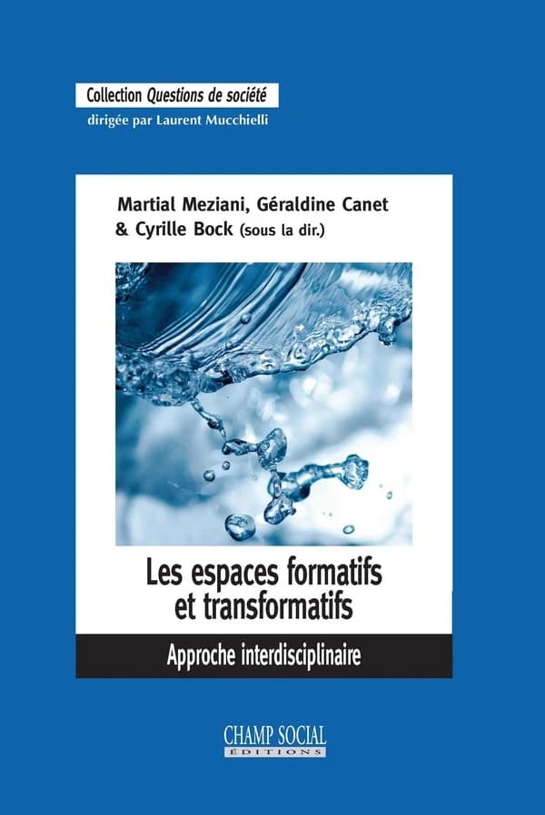 Les espaces formatifs et transformatifs : approche interdisciplinaire