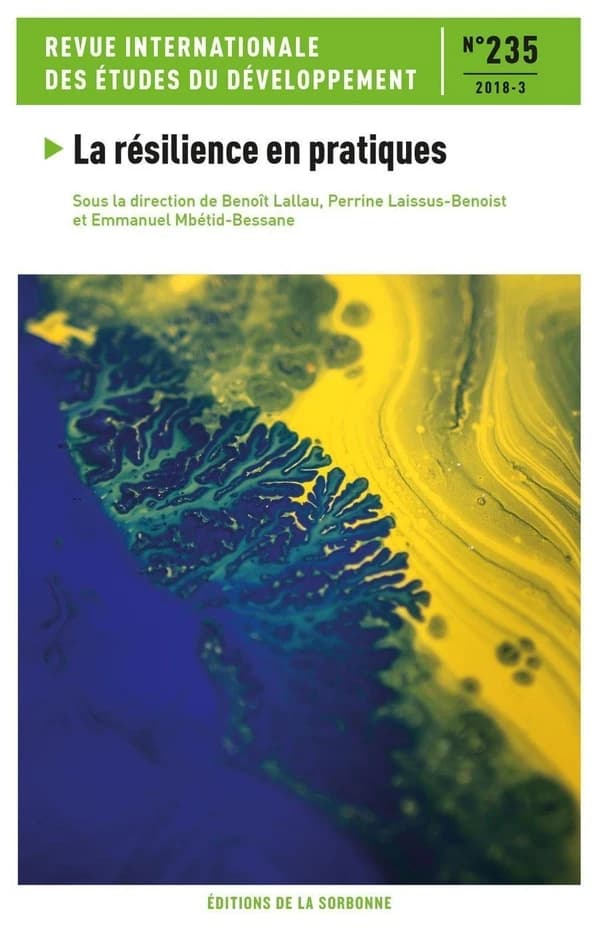 Revue internationale des études du développement : la résilience en pratiques