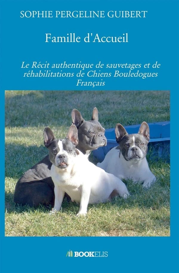 Famille d'accueil : le récit authentique de sauvetages et de réhabilitations de chiens bouledogues français