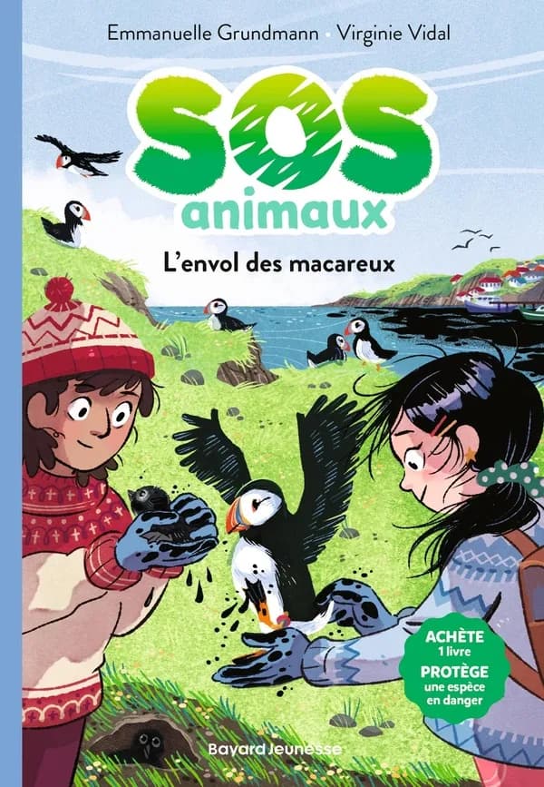 L'envol des macareux